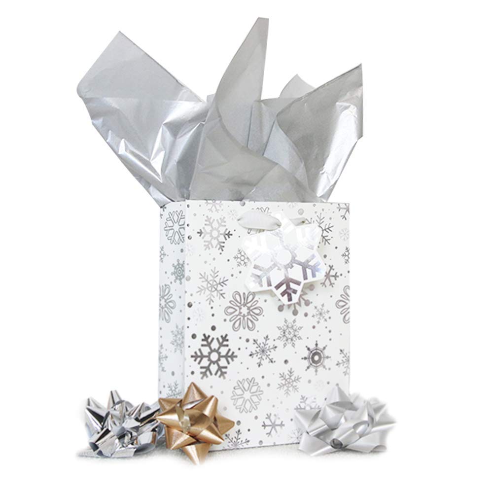 Product Detail - Gift Bag with Silver Tissue - 10x12